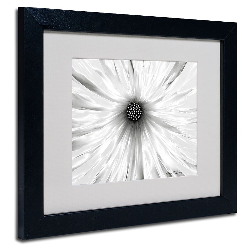 Trademark Fine Art Kathie McCurdy 'White Garden' Matted Art Black Frame 16x20 Inches image 1