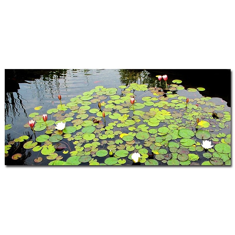 Trademark Fine Art Kathie McCurdy 'Summer Lily Pond' Canvas Art 20x47 Inches image 1