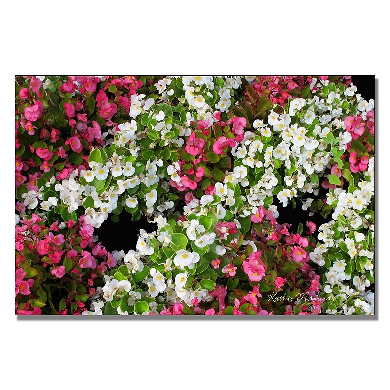 Trademark Fine Art Kathie McCurdy 'Big White Flower' Canvas Art image 1