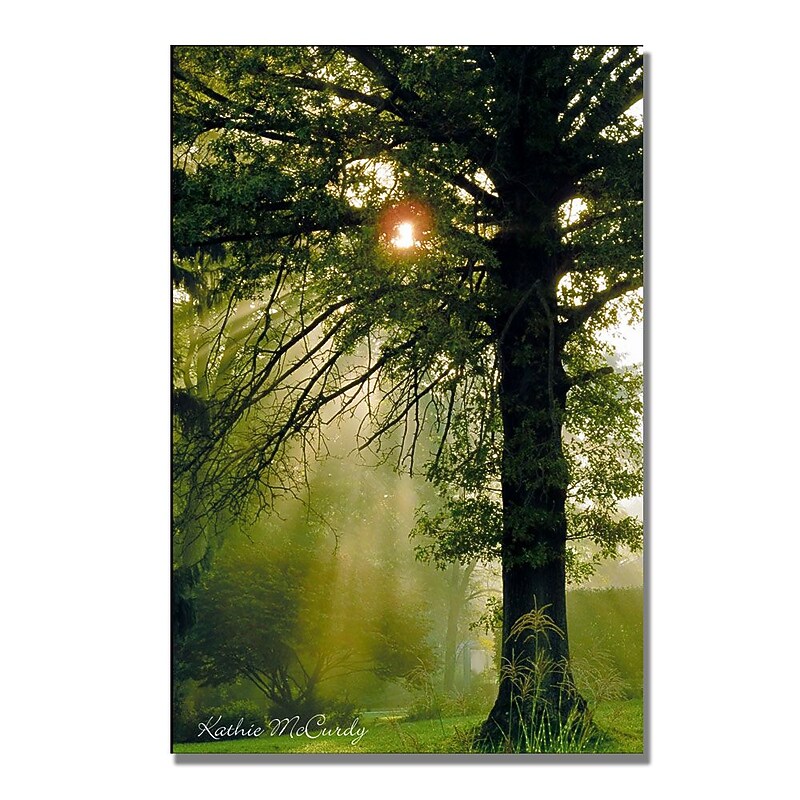 Trademark Fine Art Kathie McCurdy 'Morning Glory' Canvas Art image 1