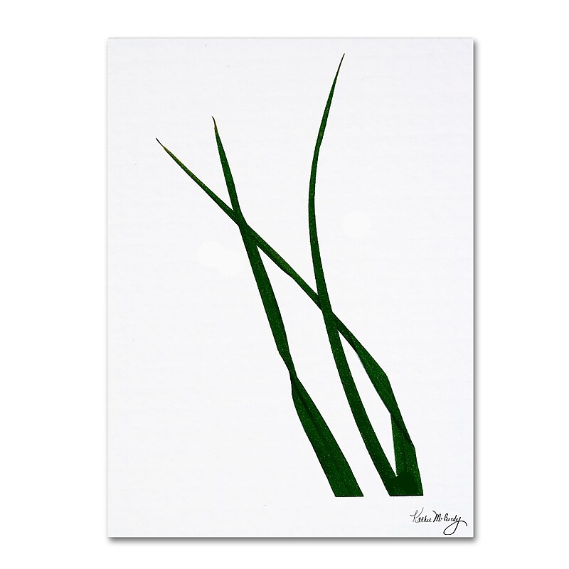Trademark Fine Art Rain Forest by Kathie McCurdy Canvas Art Ready to Hang, KM018-C1824GG image 1