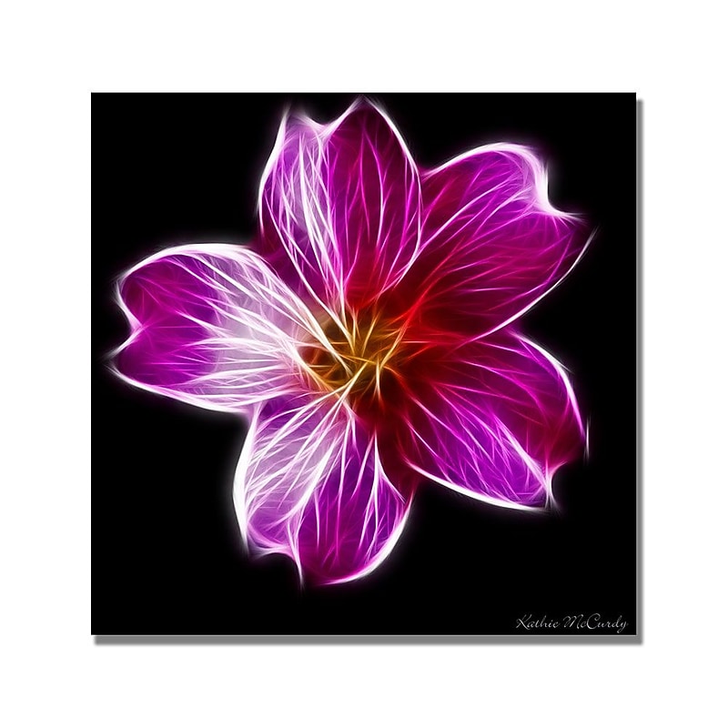 Trademark Fine Art Kathie McCurdy 'Dandelion Seed Head Full' Canvas Art image 1