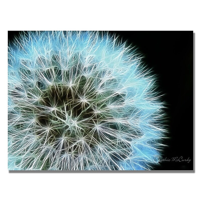 Trademark Fine Art Kathie McCurdy 'Flame Larger' Canvas Art image 1