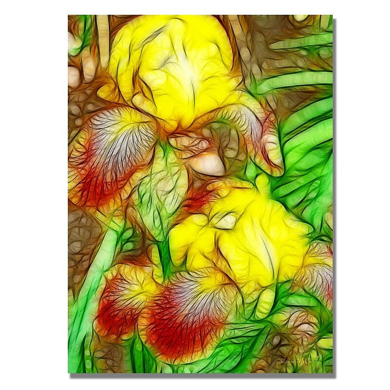 Trademark Fine Art Kathie McCurdy 'Yellow Iris' Canvas Art image 1