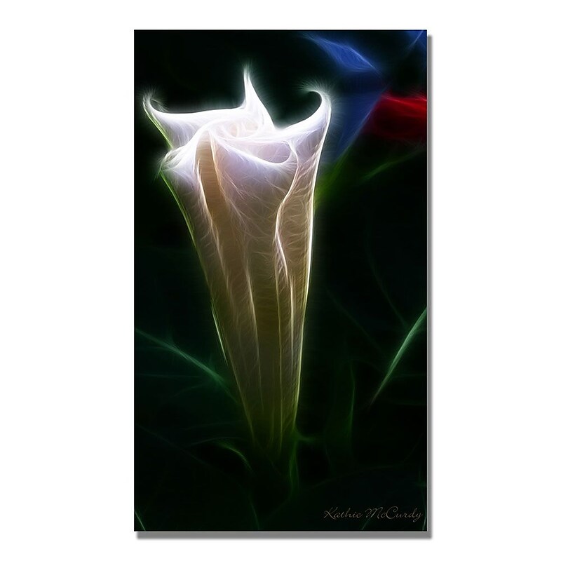Trademark Fine Art Kathie McCurdy 'Moonflower Bud' Canvas Art 20x47 Inches image 1