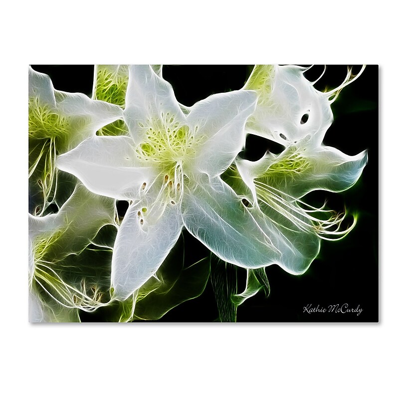 Trademark Fine Art Kathie McCurdy 'White Azalea' Canvas Art image 1