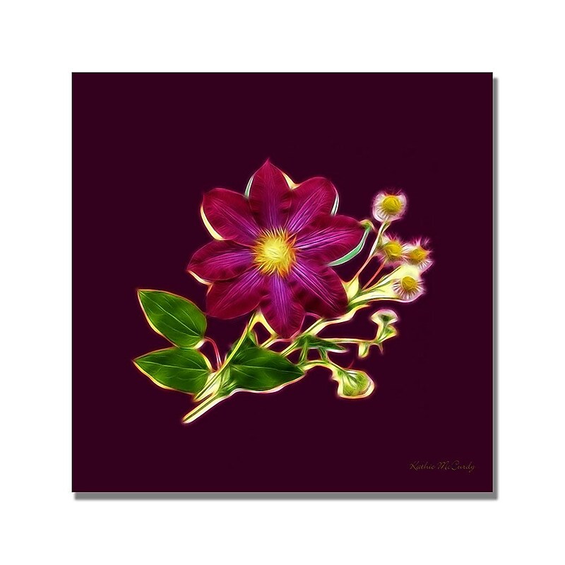 Trademark Fine Art Kathie McCurdy 'Fern Center' Canvas Art image 1