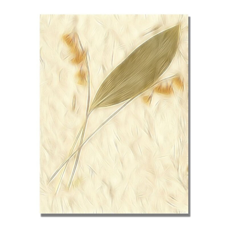 Trademark Fine Art Kathie McCurdy 'Morning Glories' Canvas Art image 1