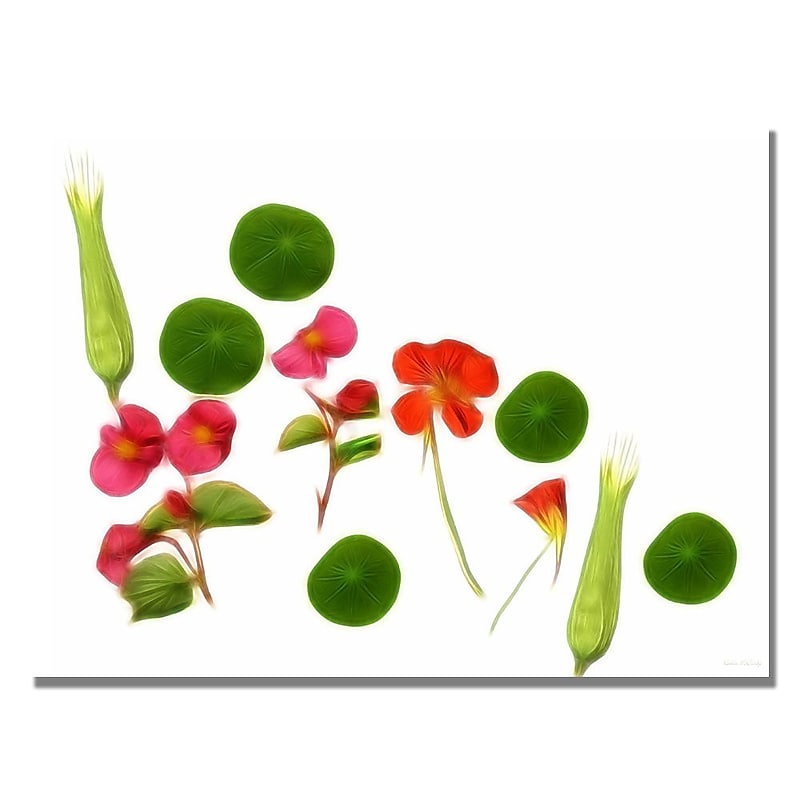 Trademark Fine Art Kathie McCurdy 'Orange and Yellow Nasturtiums' Canvas Art image 1