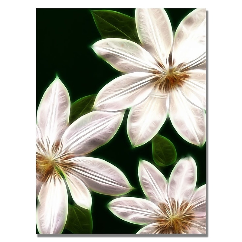 Trademark Fine Art Kathie McCurdy 'White Clematis' Canvas Art 18x24 Inches image 1
