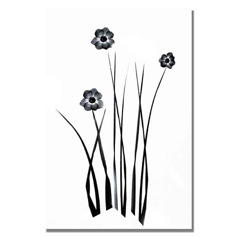 Trademark Fine Art Kathie McCurdy 'White and Black Bunch' Canvas Art 16x24 Inches image 1