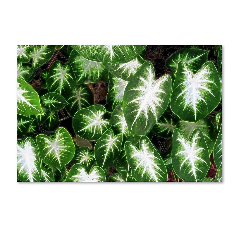 Trademark Fine Art Kathie McCurdy 'Hawaiian Garden II' Canvas Art image 1