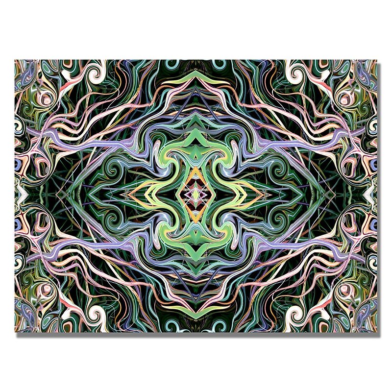 Trademark Fine Art Kathie McCurdy 'Lime Green Coneflower' Canvas Art image 1