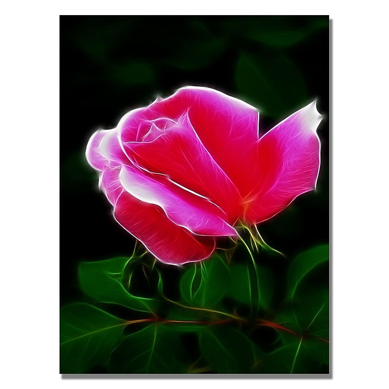 Trademark Fine Art Kathie McCurdy 'Pink Rose Abstract' Canvas Art 35x47 Inches image 1