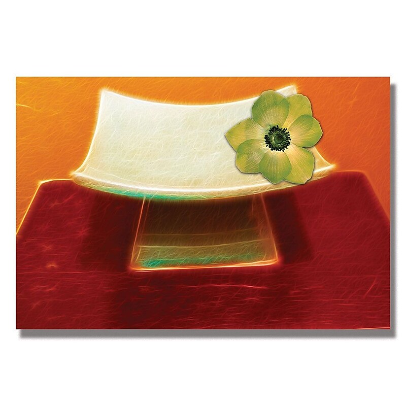 Trademark Fine Art Kathie McCurdy 'Chartreuse Orchid' Canvas Art 16x24 Inches image 1