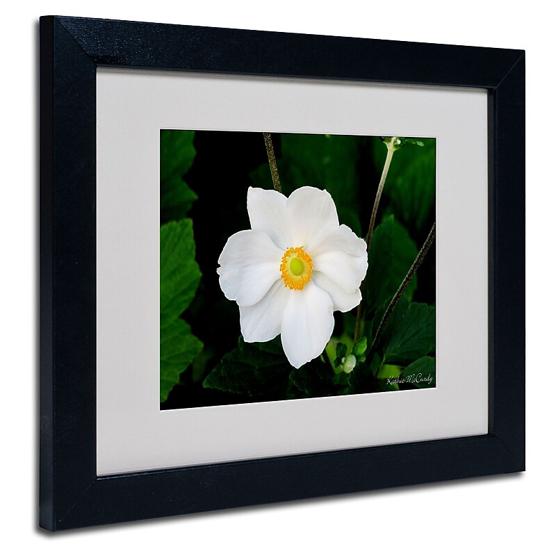 Trademark Fine Art Kathie McCurdy 'Big White Flower' Matted Art Black Frame 16x20 Inches image 1