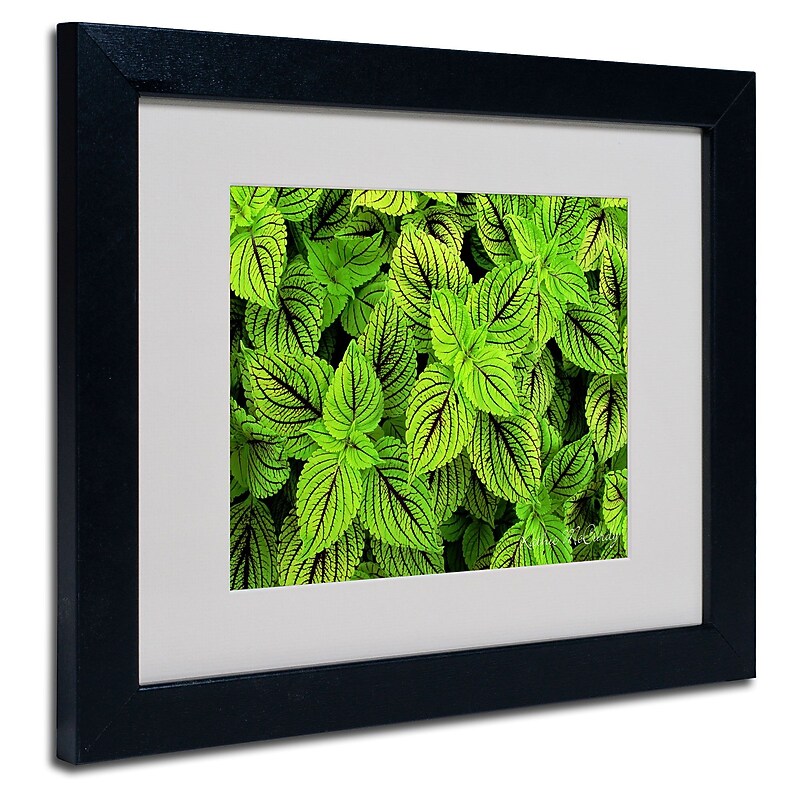 Trademark Fine Art Kathie McCurdy 'Coleus' Matted Art Black Frame 16x20 Inches image 1