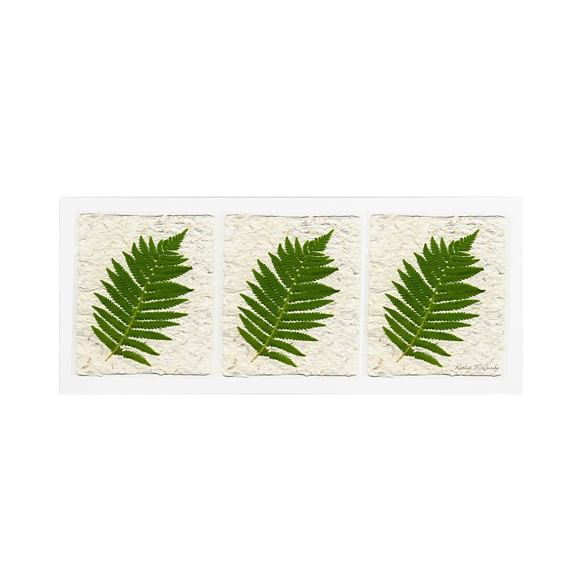Trademark Fine Art Kathie McCurdy 'Ferns Finish' Canvas Art 20x47 Inches image 1