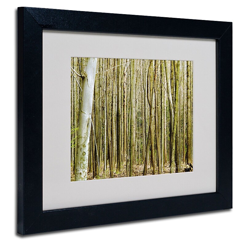 Trademark Fine Art Kathie McCurdy 'Forest Floor Spring' Matted Art Black Frame 11x14 Inches image 1
