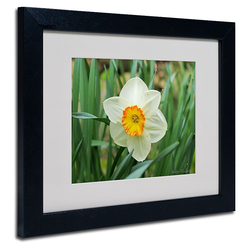 Trademark Fine Art Kathie McCurdy 'Furnace Run Daffodil' Matted Art Black Frame 16x20 Inches image 1