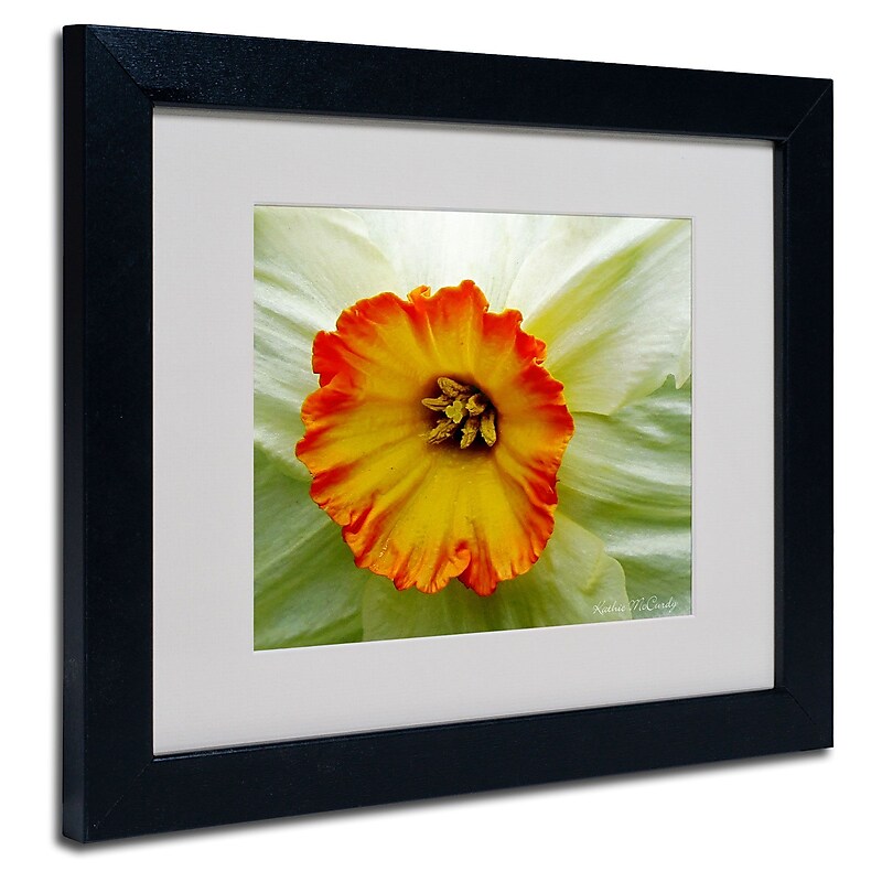 Trademark Fine Art Kathie McCurdy 'Furnace Run Daffodil Large' Matted Black Frame 16x20 Inches image 1