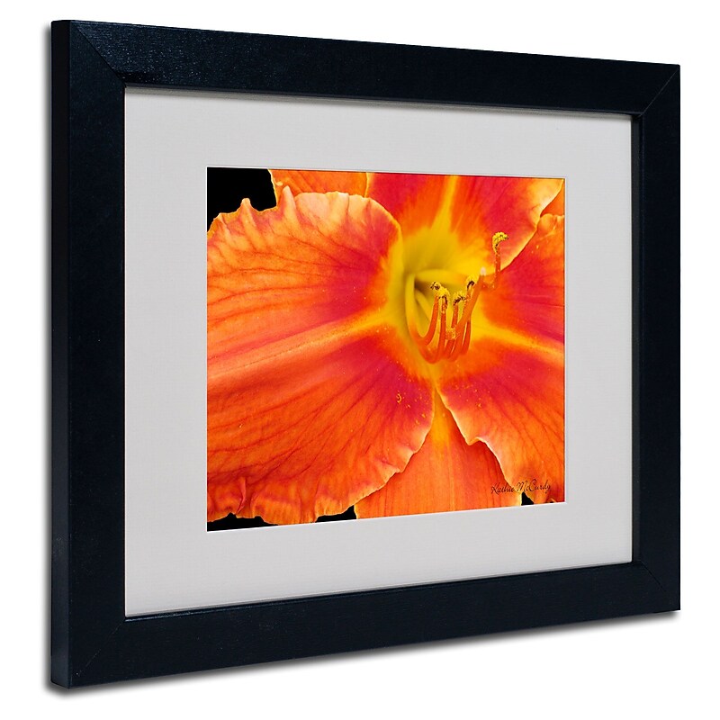 Trademark Fine Art Kathie McCurdy 'Orange Day Lily' Matted Art Black Frame 16x20 Inches image 1