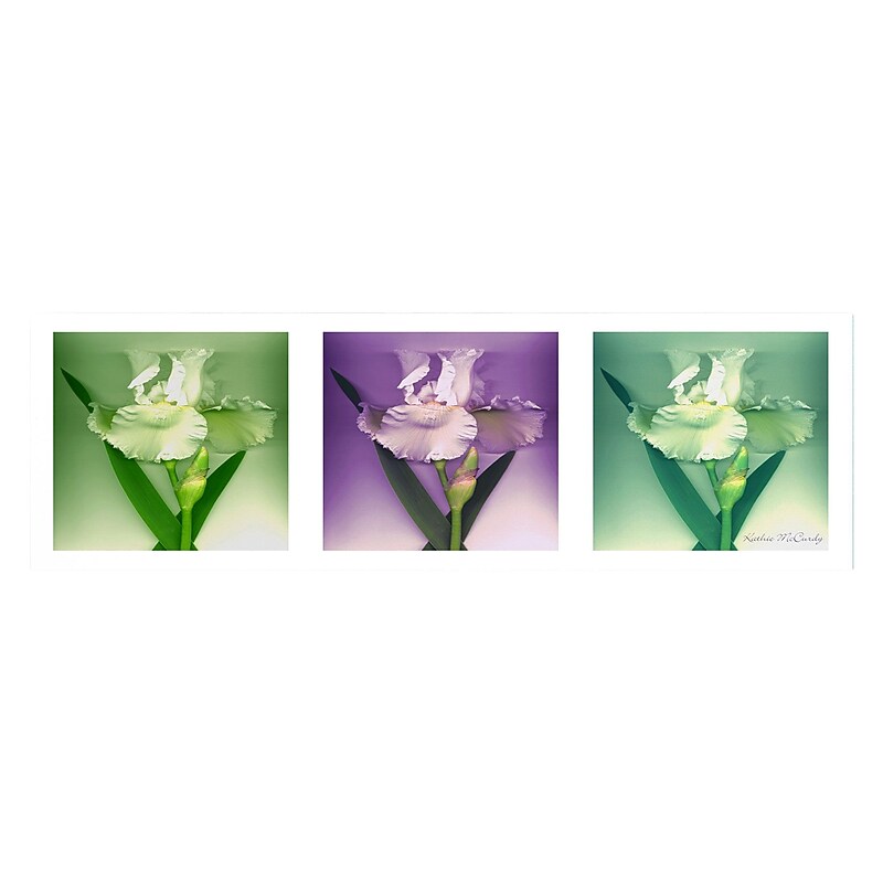 Trademark Fine Art Kathie McCurdy 'Three White Iris' Canvas Art 8x24 Inches image 1