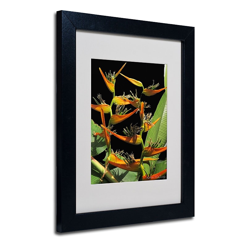 Trademark Fine Art Kathie McCurdy 'Tropical Paradise' Matted Art Black Frame 16x20 Inches image 1