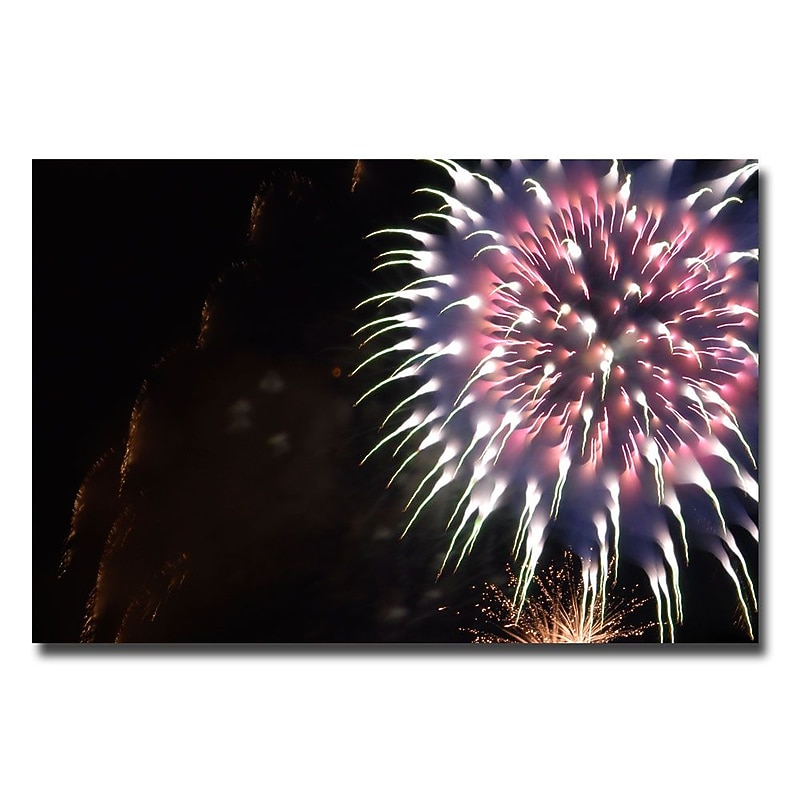 Trademark Fine Art Kurt Shaffer 'Abstract Fireworks V' Canvas Art 22x32 Inches image 1