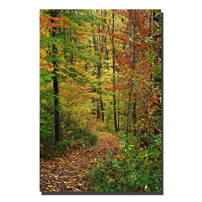 Trademark Fine Art Kurt Shaffer 'Fall Trail' Canvas Art 22x32 Inches image 1