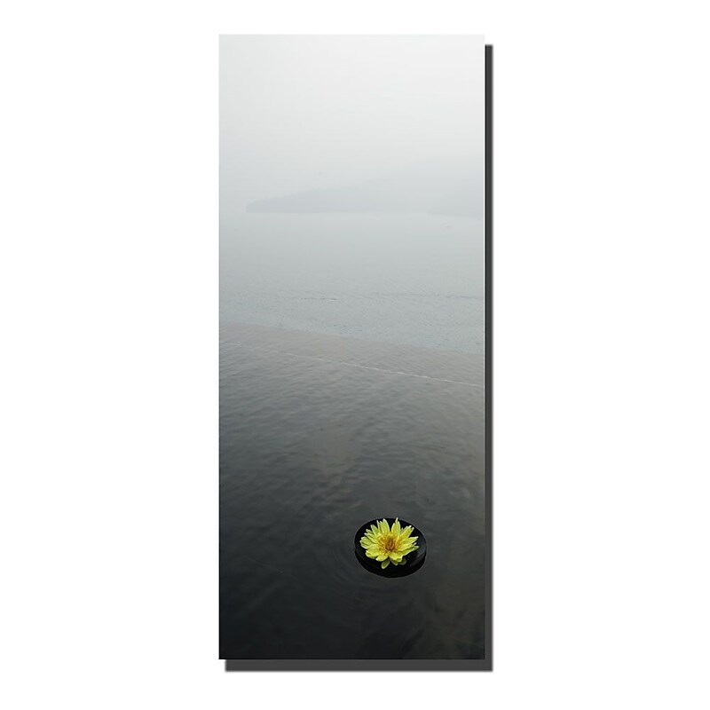 Trademark Fine Art Zen Lotus by Kurt Shaffer-Gallery Wrapped  Canvas Art 26x40 Inches image 1