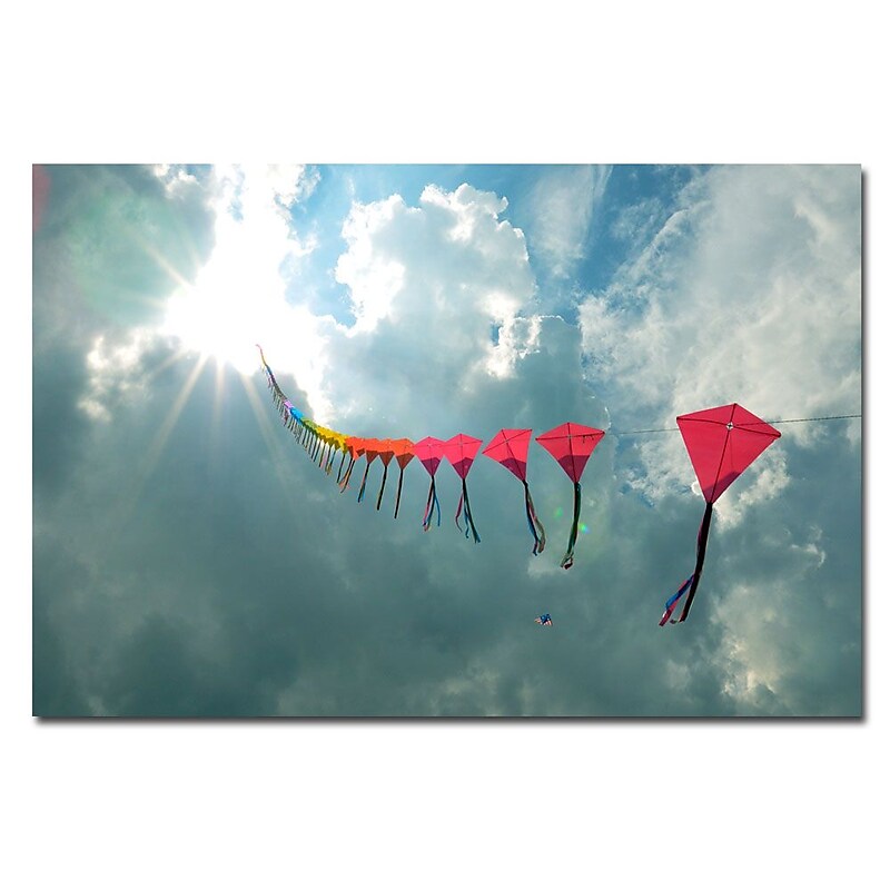 Trademark Fine Art Kurt Shaffer 'Night Blooming Cereus' Canvas Art image 1