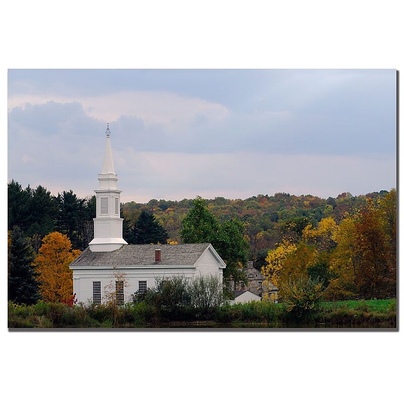 Trademark Fine Art Kurt Shaffer 'Philadelphia Fleabane' Canvas Art image 1