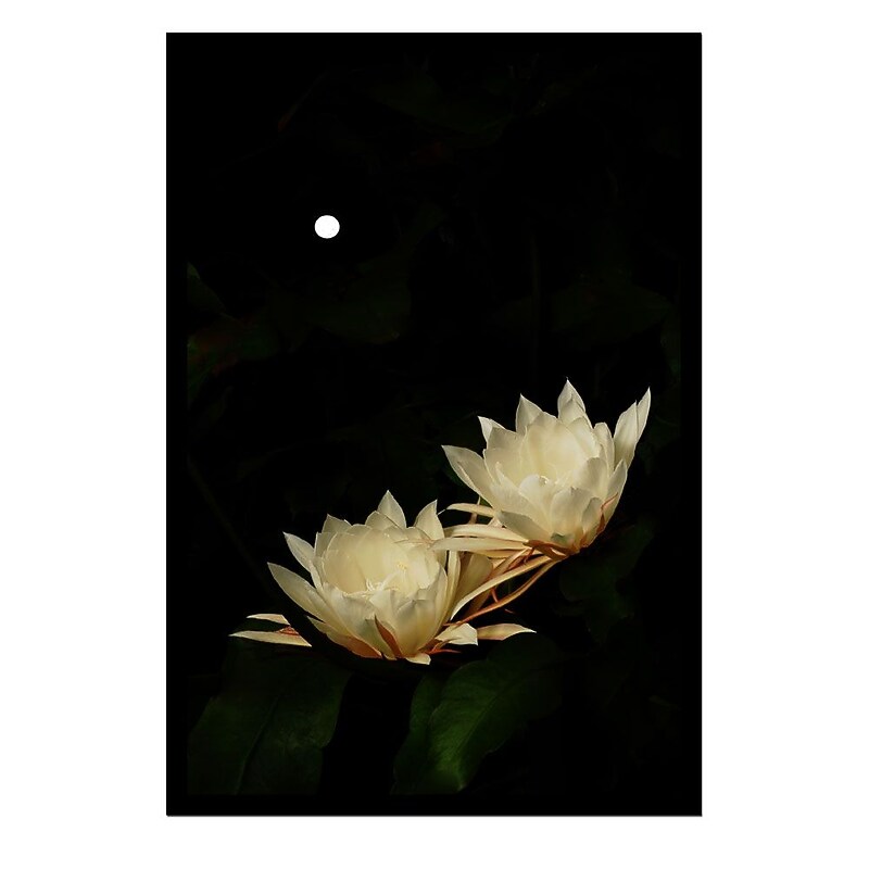 Trademark Fine Art Full Moon Bloom by Kurt Shaffer-26x38 image 1
