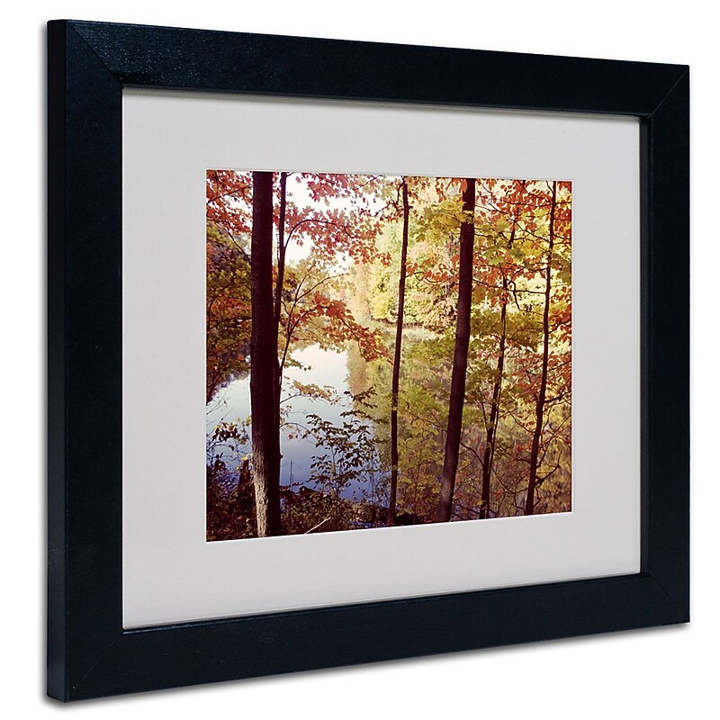 Trademark Fine Art Kurt Shaffer 'A Secret Pond' Matted Art Black Frame 16x20 Inches image 1