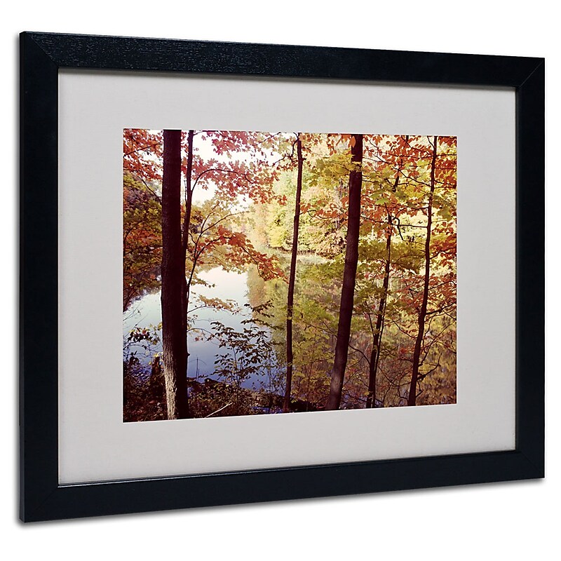 Kurt Shaffer 'A Secret Pond' Framed Matted Art - 11x14 Inches - Wood Frame image 1