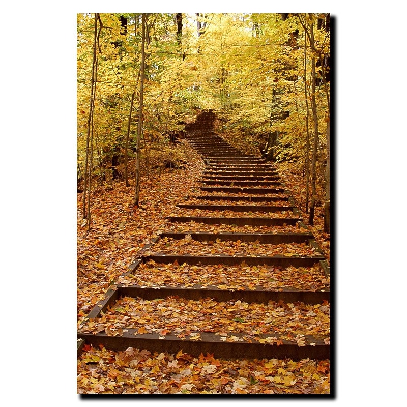 Trademark Fine Art Fall Stairway by Kurt Shaffer-Gallery Wrapped  Canvas 14x19 Inches image 1