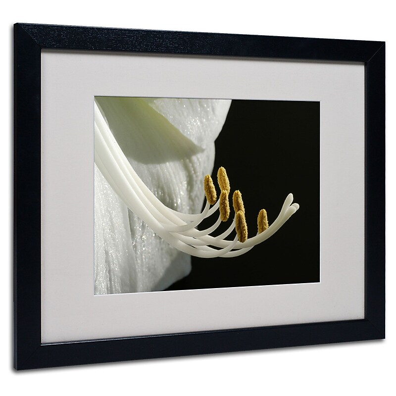 Kurt Shaffer 'Intimate Amaryllis' Matted Framed Art - 11x14 Inches - Wood Frame image 1