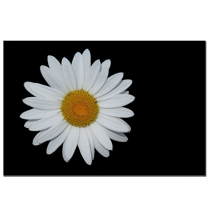 Trademark Fine Art Grand Canyon Color by Kurt Shaffer-Gallery Wrapped image 1