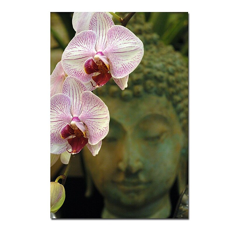 Trademark Fine Art Orchids and Buddha by Kurt Shaffer-Gallery Wrapped image 1