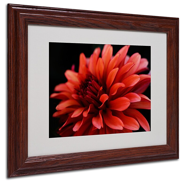 Kurt Shaffer 'Red Dahlia' Matted Framed Art - 16x20 Inches - Wood Frame image 1