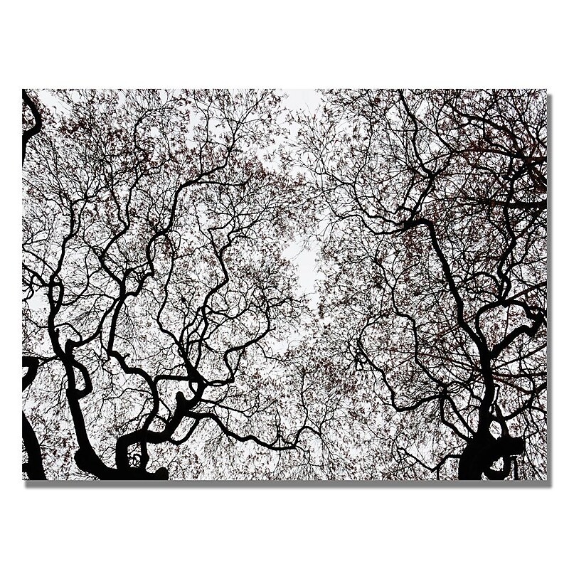 Trademark Fine Art Kurt Shaffer 'Japanese Maple Spring Abstract' Canvas Art 18x24 Inches image 1