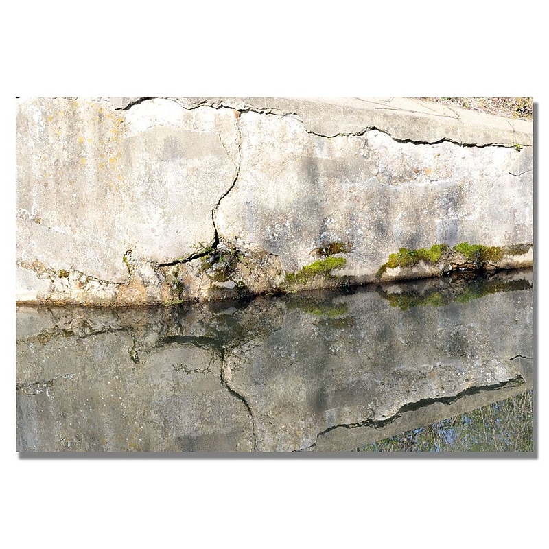 Trademark Fine Art Kurt Shaffer 'Wall Mirror' Canvas Art 18x24 Inches image 1