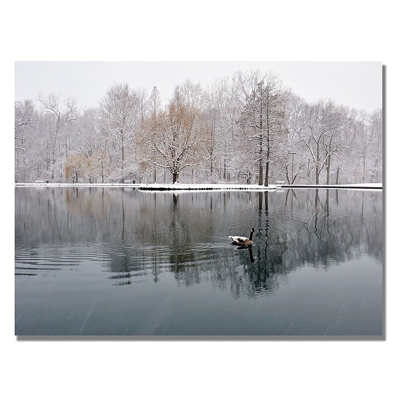 Trademark Fine Art Kurt Shaffer 'Winter Goose' Canvas Art 30x47 Inches image 1