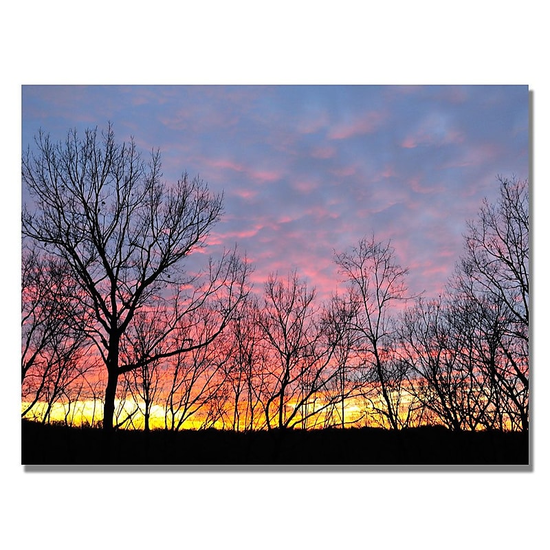Trademark Fine Art 'Winter Sunset' 30" x 47" Canvas Art image 1