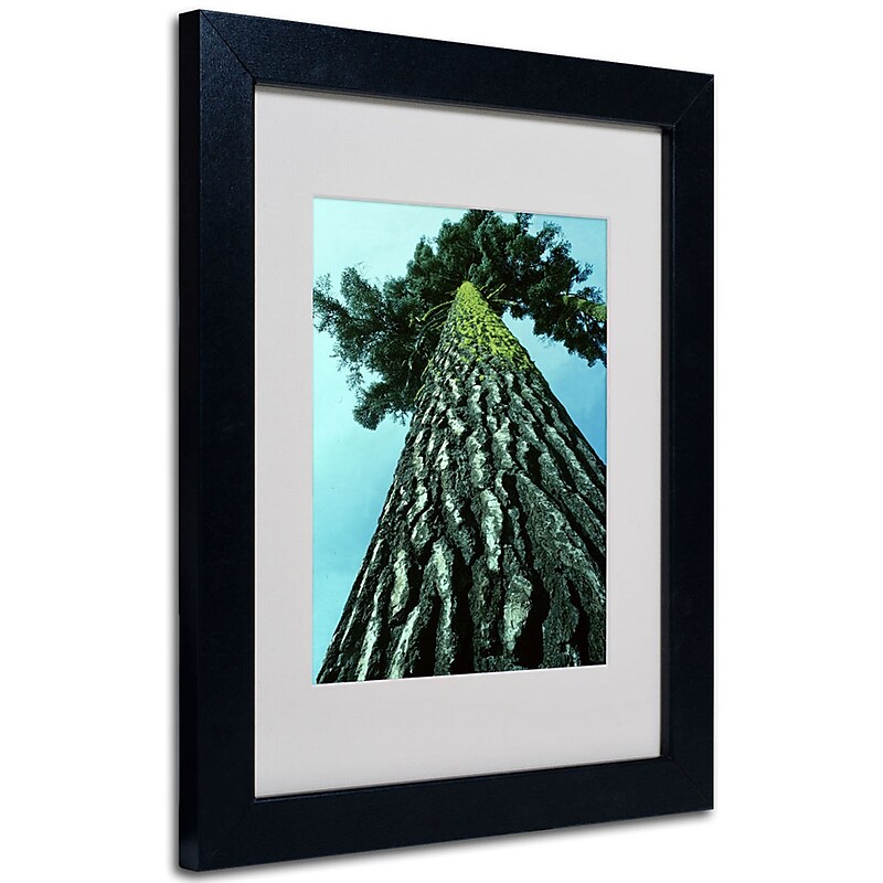 Trademark Fine Art Kurt Shaffer 'A Tree of Life' Matted Art Black Frame 16x20 Inches image 1