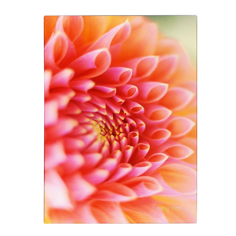 Trademark Fine Art Kathy Yates 'New Beginnings' Canvas Art 14x19 Inches image 1