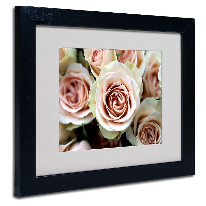 Trademark Fine Art Kathy Yates 'Pale Pink Roses' Matted Art Black Frame 16x20 Inches image 1