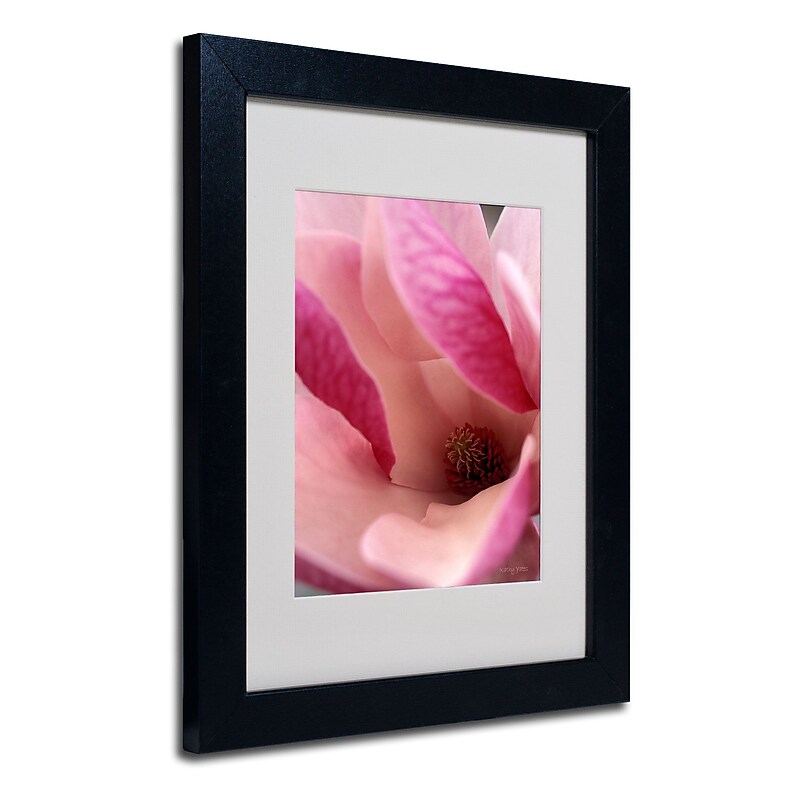 Trademark Fine Art Kathy Yates 'Tulip Magnolia Blossom' Matted Art Black Frame 16x20 Inches image 1