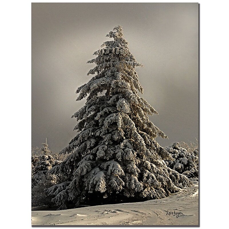 Trademark Fine Art Lois Bryan 'Tifted Titmous in Winter' Canvas Art image 1